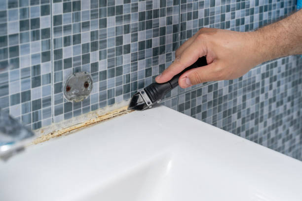 Best Certified Mold Removal  in Olmos Park, TX
