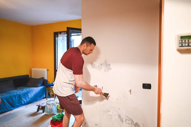 Best Mold Removal Process  in Olmos Park, TX