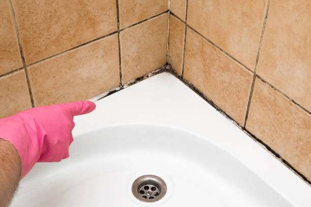 Best Mold Removal Company Near Me  in Olmos Park, TX